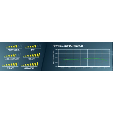 PAGID RACING Pastiglie freno E2830RSL29